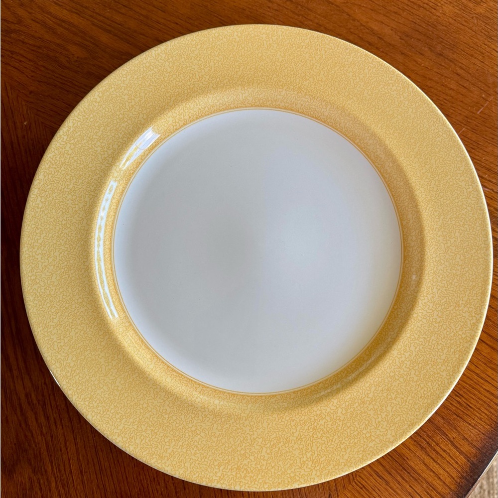 6-Spode Vermicelli Yellow Dinnerware Charger Plates
